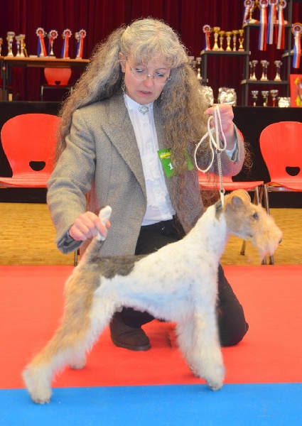 Ginger bread De la rose magique